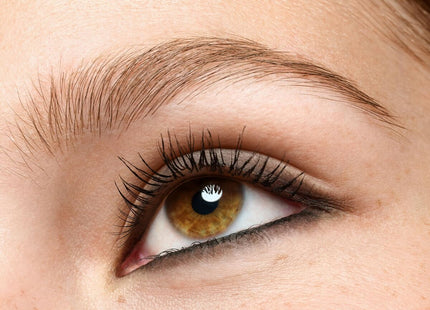 V2H12925F8B963380EDDEAEE04D00E987B6R7477146P9