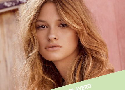 V3HAE23E80BCA8017A396CFE9EB90286102R5611301P3