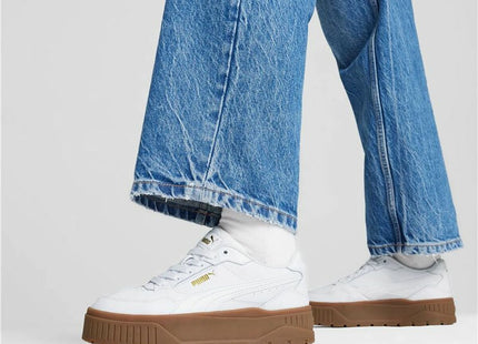 V4H260714E144352226D62952995239087BR7101726P7