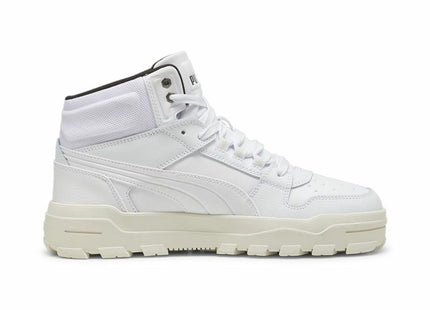 V2H97BEED4DDEB73D8B5C68D26559DB5856R7106029P2