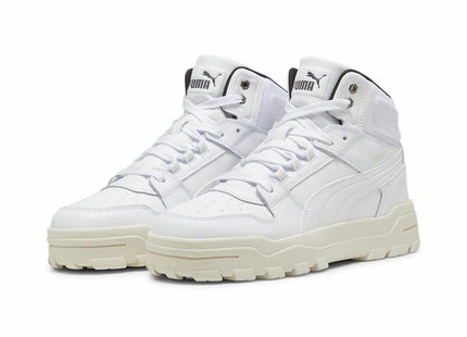 V2HDB2AC181A029E07217AA00F051837C01R7106027P1