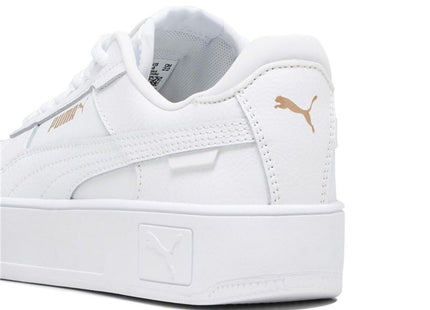 V2H97F11DC4350059200CE4D9A78CD532BBR7678656P5