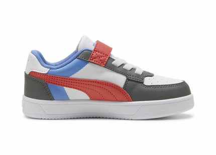 V4H2121CCC219A682BB89CB15B4A6E824D2R5417621P4