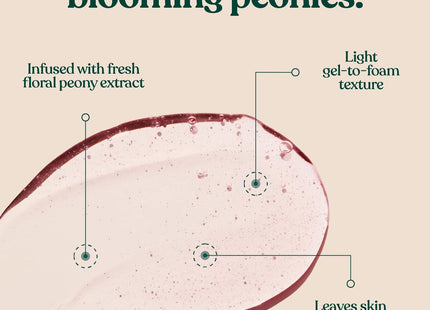 V2H1134EA42E165365797D6001BCCAD6D38R7486497P3