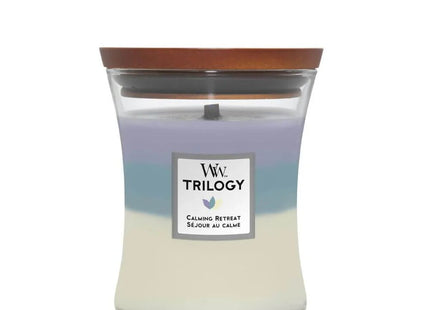 V5HB5CBEBC137F653BAB16770E0B55901B4R5462550P1