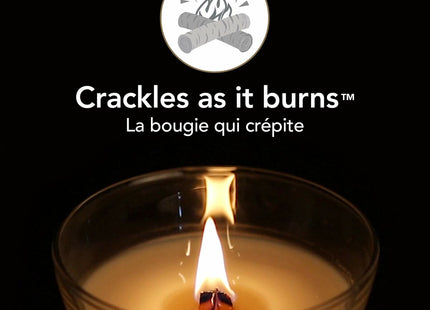 V3HCE4E3EF16ADEDF3D174B7E5007407FBDR5576841P2