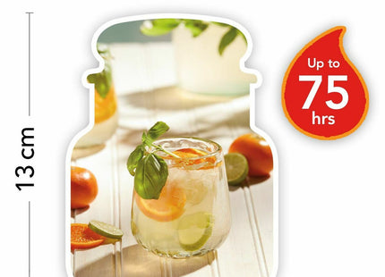 V3H34F377772D7BD87511601ACE6B529365R5681378P2