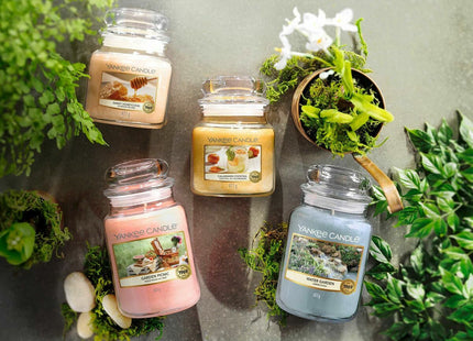 V3HE567896FB5B112056EE71BCF36EBCE52R5681384P5