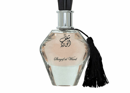 V3H2A9D4851896666E4212BC1F024352B13R5675353P1