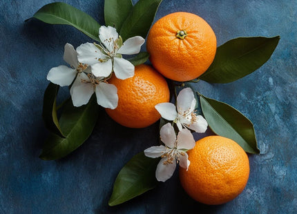 V2H51FC29EC60B3CB3E4568E7E148D99D2FR7528114P3