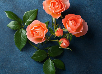 V2H8455113CA366E8046AF1DAC6DFD8B192R7528115P4