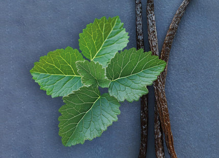 V2HA402E546EAA28395559BCC34333C22B2R7528116P5