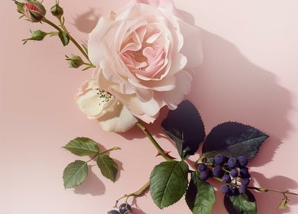 V2HB355700360CC11AA4C8BD788E36A960FR6970217P6