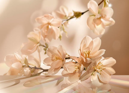 V2H9755B0E1C5CBD22B7BC507B86035E260R7415525P2