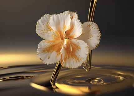 V2H60D0071E859A9F84E30E34E10B3E65E5R7401138P4