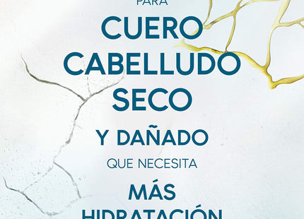 V6HFDC8C79B425FD5AFE8A644D4F24484B3R3652895P4