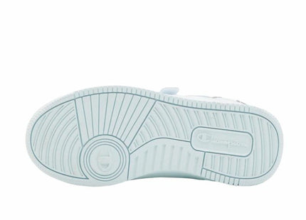 V4HE21AE53A41CA2AC82B4F602551B6183CR5443711P3