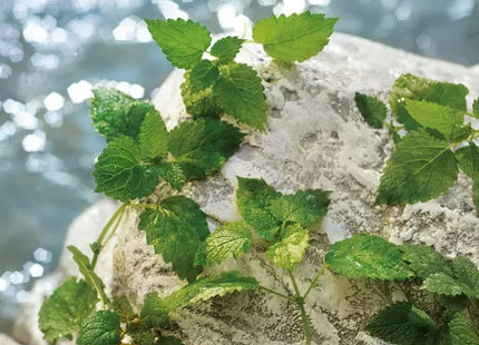 V2H6ED753EBA438E6D84501FD1AC40701D4R7528043P9