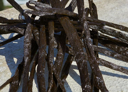 V2H2FEDF660222908E5A8BF9DB022E97591R7525437P5