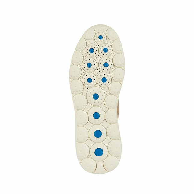 V2HB07D88D6637BBCB74F79CD074DC7F059R7105839P2