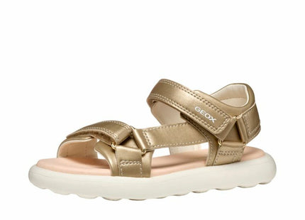 V2H73841E636124BCC1E83475AF8F4256A7R7108618P2