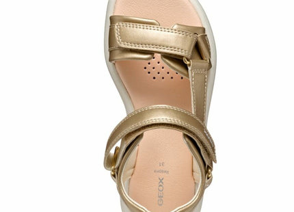 V2HB36B55662F342004E5113B24051742A0R7108620P4