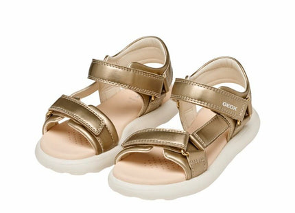 V2HD64A7664276B47246A5506BB0CC1816DR7108621P5