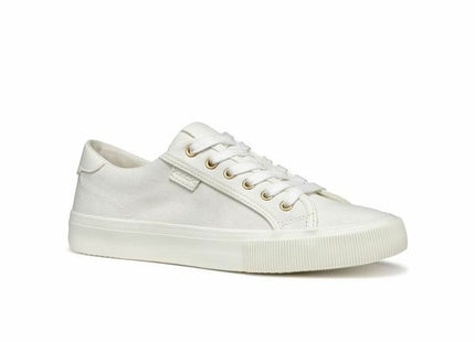 V3H8EDEE6058E63805BBC4C80DAB543D3D7R6075866P2