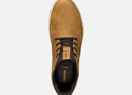 V2H9CC9BB47531B6060C6C8814C0F3158E8R7626678P2