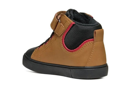 V2H109C5EDB3D0FC2DCCF7EDEA53AE9B90ER7623964P2