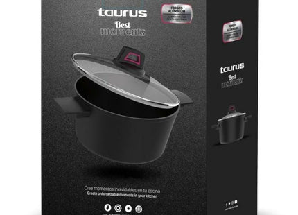 V6H631775113935FB0E573D569C04D4CF31R6604190P3