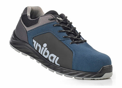 V4H94094E17B314609C43E581D61AD32483R4467788P1