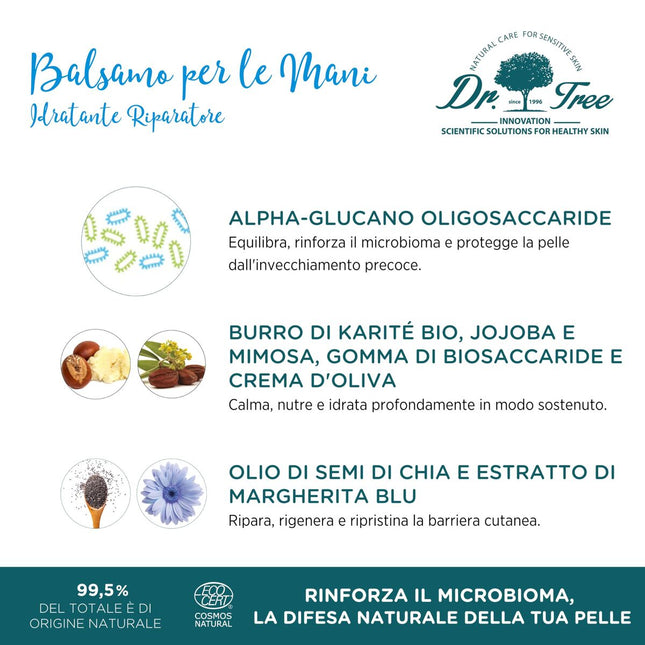 V2HE1532EEC91BDEBBE4BEDD2E56B20D02FR7706935P1