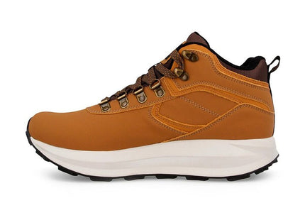 V2H61D58AD043B0D880F4437EC71A5B80E0R7626663P2