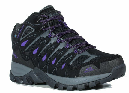 V4H85E9FB4E3AE5D61096B411C896439AFDR5443804P4