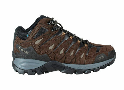 V5H450A61B66BF88132D28917DC7C514C13R5445024P1