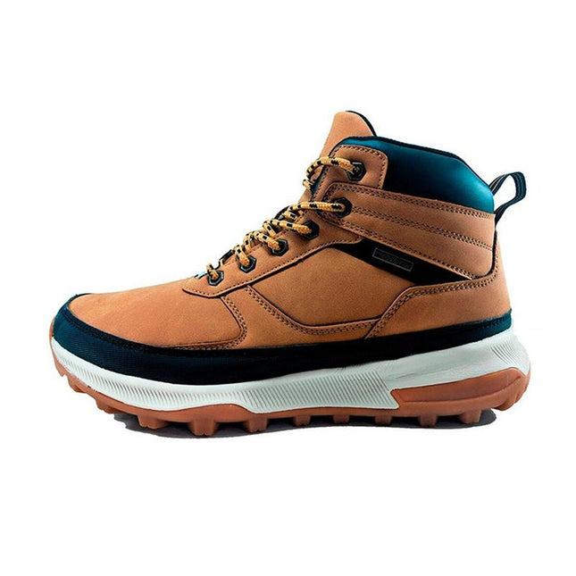 V2H379E83CCC456B8124BD77F8BFECAD88DR7626653P2