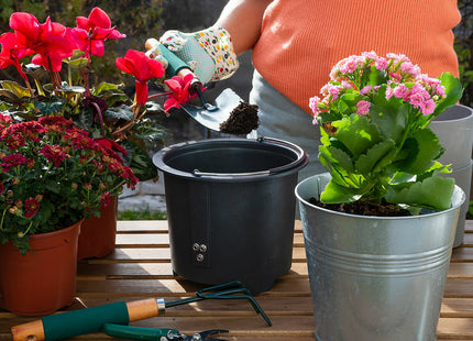 V8HC0A3675F1E749D3D37ABB7FAABBDBCBBR5279562P2