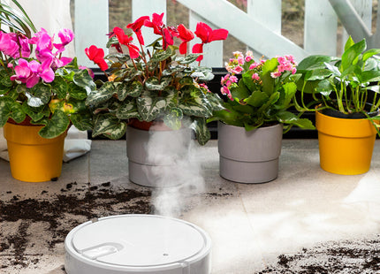 V9HDBABC7A60274934BEE5E2D6D444A8EE3R5252599P8