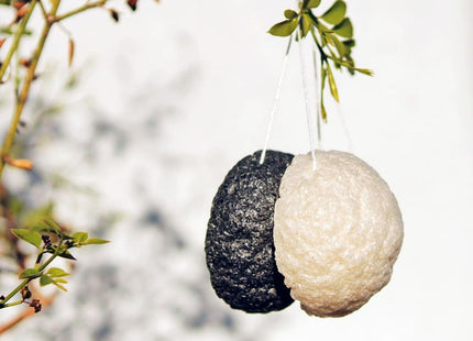 V6H040608AE2526230B77060A3124FD5D79R3244468P3