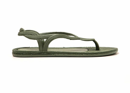 V3HAA978A393C913E99AAA2BE59686ED218R6071195P2