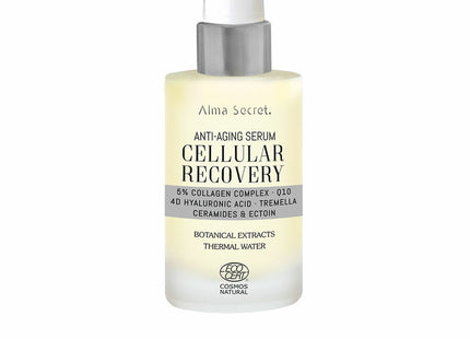 V4H8B3E36FA6CE52CC9F8CEC121A119B8ECR5313595P1