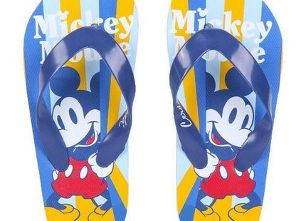 V10HA9522794278E40CF65421715C425FBF7R4087489P1