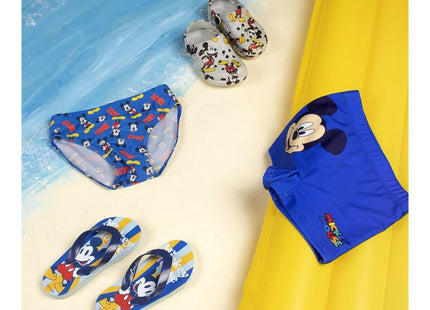 V10HAC14DAB4DF1FD730E4FF7A0CAEE34D4DR4087497P5