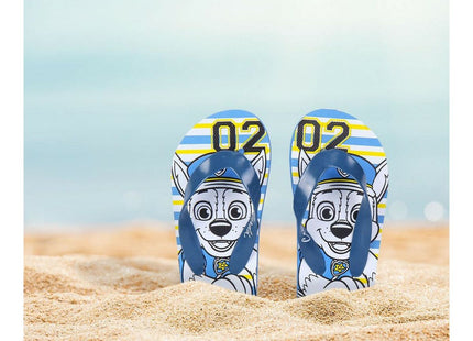 V11H2D6572B3A17A76F7D6780279BFE00012R3363232P4