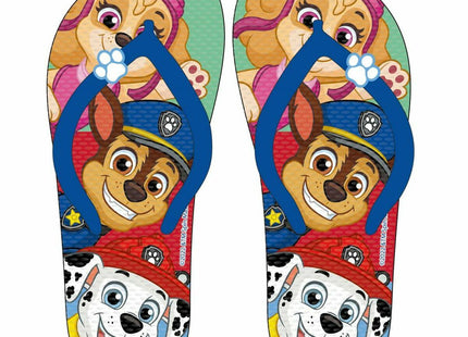 V3HC6D5FB6CE486C8C022E465AA21A29392R4891547P1