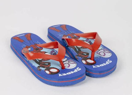 V4H93526443A0FCB82F94153C65A94421DAR4891557P2