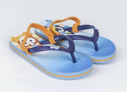 V3H58C9B8CEA4737F2654C1061452B3D637R6727093P2