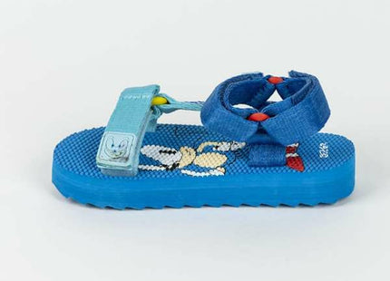 V3HD48987545BAC9B8E20B8B886642458BBR4830711P2