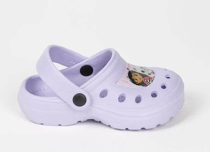 V4H3E67360C797922DC5C91A6E53534CA67R4843704P2